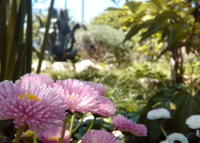 Appartement Marcelo Pomer