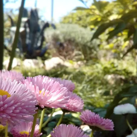 Apartament Marcelo Pomer